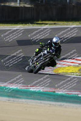 media/Mar-17-2024-Fastrack Riders (Sun) [[c7d6f8c14c]]/Level 2/Turn 6/